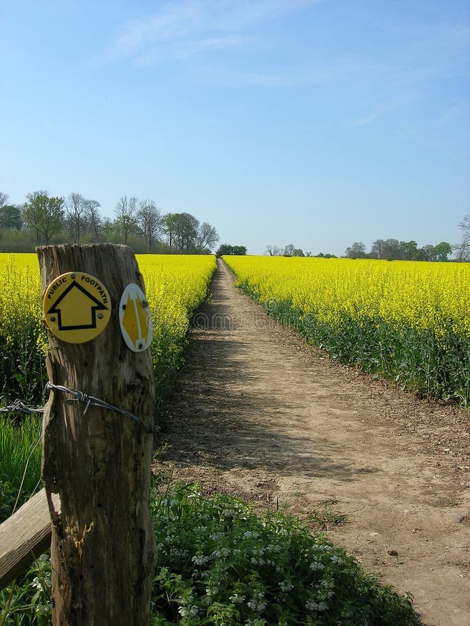 Country walks stock image. Image of biodiesel, footpath - 2395193