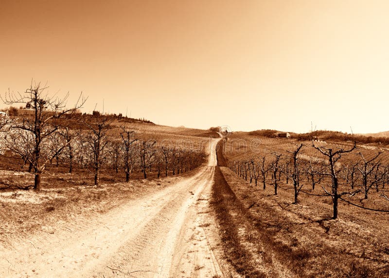 Old image of countryroad in spring. Old image of countryroad in spring