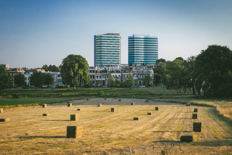 Countryside in the city