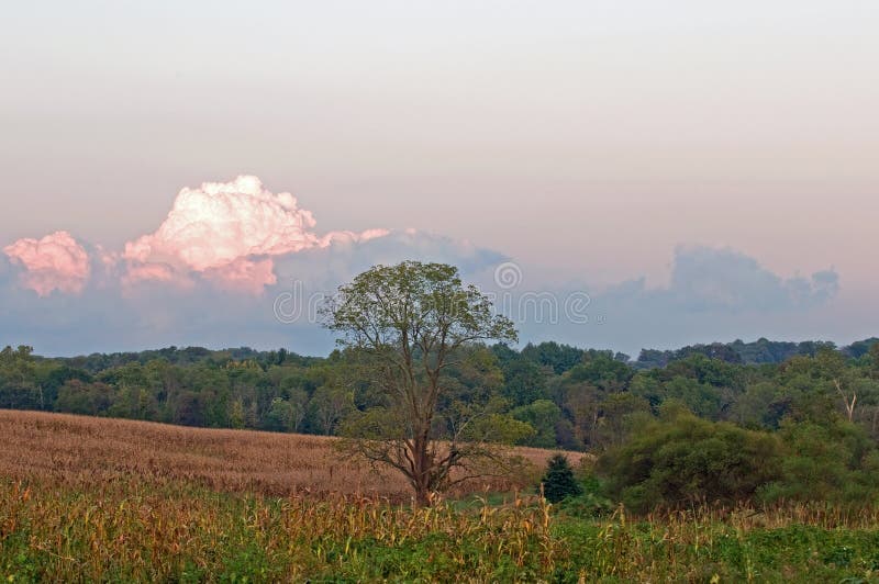 Countryside and clouds at dusk