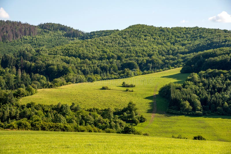 Countryside at high noon. Rural scenery with trees and fields on the rolling hills at the foot of the ridge