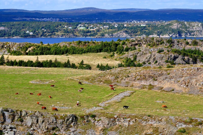 Countryside landscape