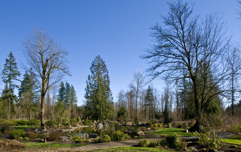 Countryside Landscape