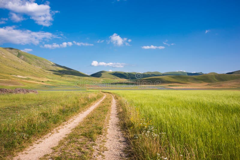 Countryside Road Among Green Fields In Summer Stock Image Image Of