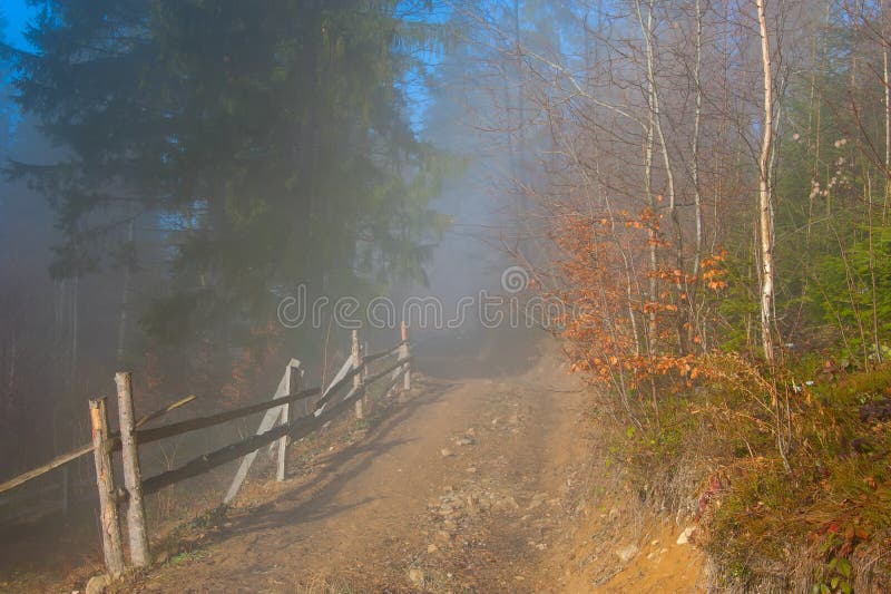 Countryside road trough misty forest