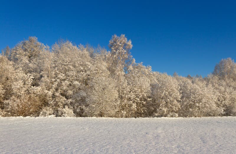 Countryside with snow. stock photography