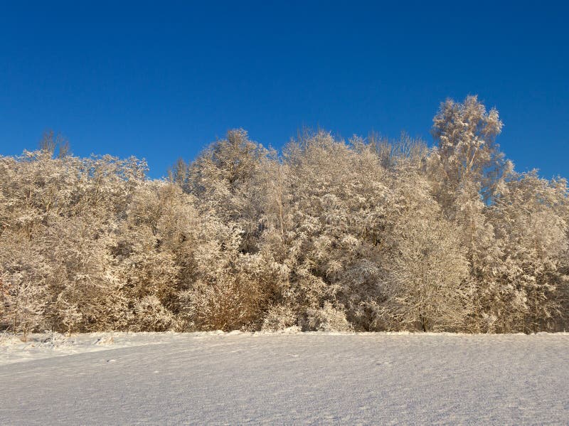 Countryside with snow. royalty free stock image