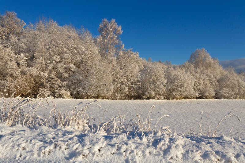 Countryside with snow. stock images