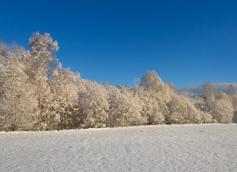 Countryside with snow. royalty free stock photography