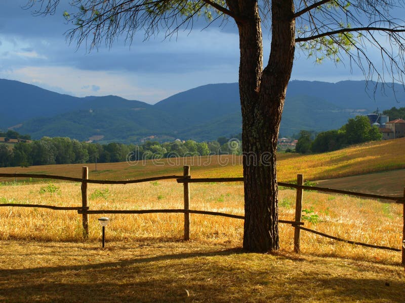 Countryside in the sunset