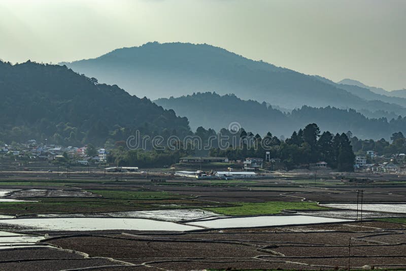 Countryside tarnish framing rice field with mountain background at morning