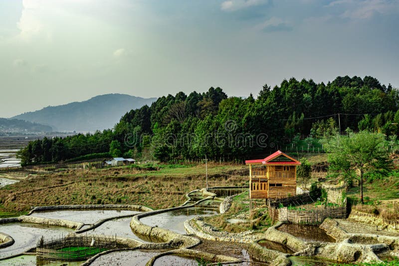 Countryside tarnish framing rice field with small resting hut at morning