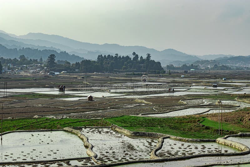 Countryside tarnish framing rice field with small resting huts and mountain background at morning