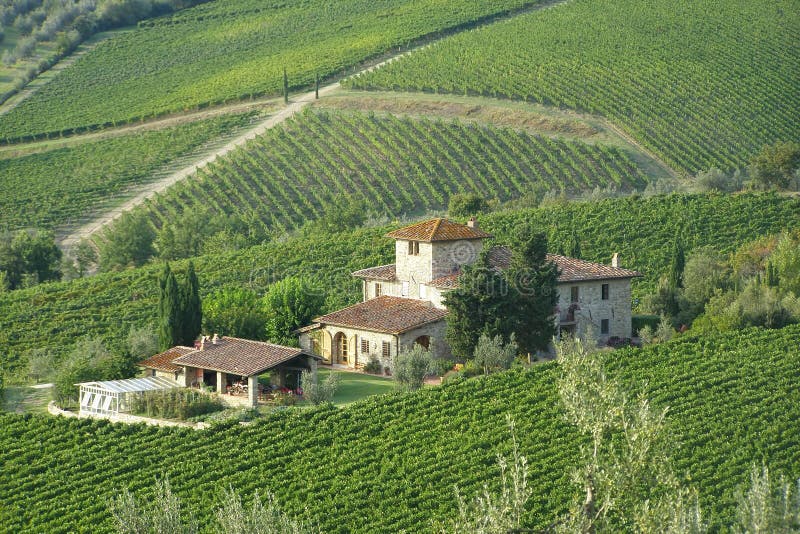 Countryside villa in vineyards