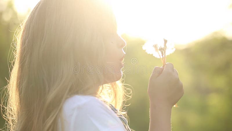 Coup de petite fille un pissenlit