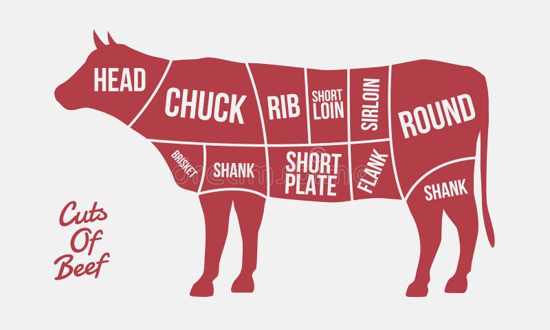 Coupes de boeuf Coupes de viande Silhouette de vache d'isolement sur le fond blanc Affiche de cru pour la viande, boucherie illustration libre de droits Coupes de boeuf Coupes de viande Silhouette de vache d'isolement sur le fond blanc Affiche de cru pour la viande, boucherie illustration libre de droits