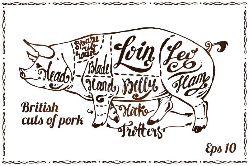 Coupes de porc E illustration stock Coupes de porc E illustration stock