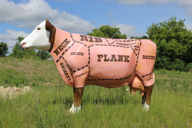 Coupes de viande sur une vache photos libres de droits Coupes de viande sur une vache photos libres de droits
