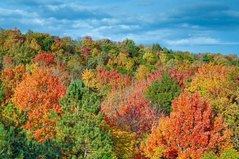 Coupez la rivière Autumn Color photos stock Coupez la rivière Autumn Color photos stock