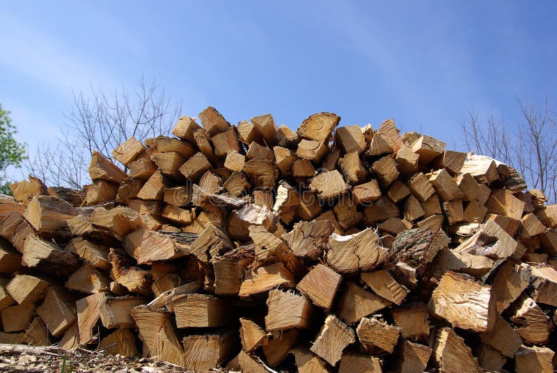 Coupez le bois de chauffage photo libre de droits Coupez le bois de chauffage photo libre de droits