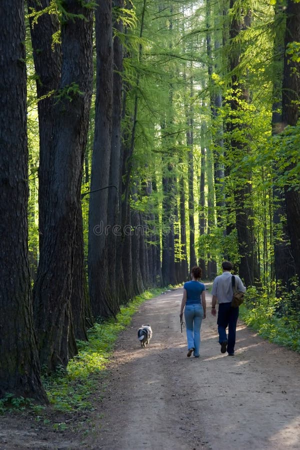 Couple with dog royalty free stock image Couple with dog royalty free stock image