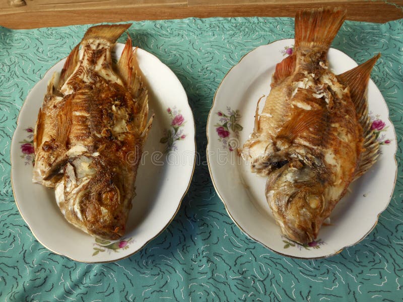 Fish Love Stock Photos Download 8,088 Royalty Free Photos