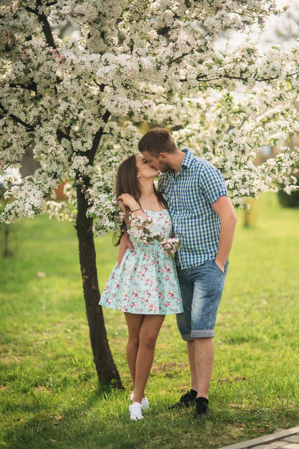 Couple Kissing in the Spring Blossom Tress Stock Photo Image of groom