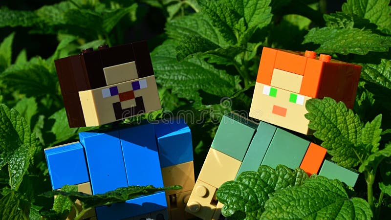 360 Lego Minecraft Stock Photos - Free & Royalty-Free Stock Photos from  Dreamstime