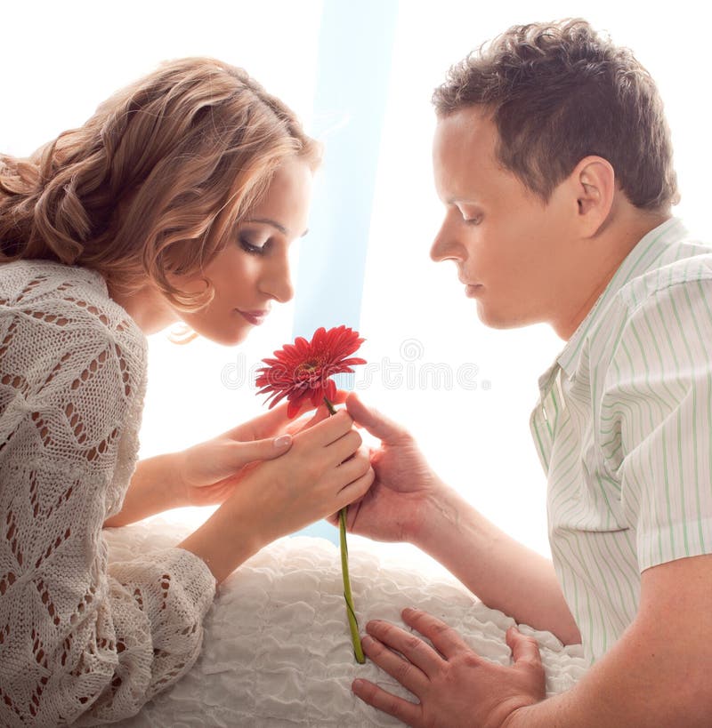 Flower of Red Hearts on White Background Stock Photo Image of wedding