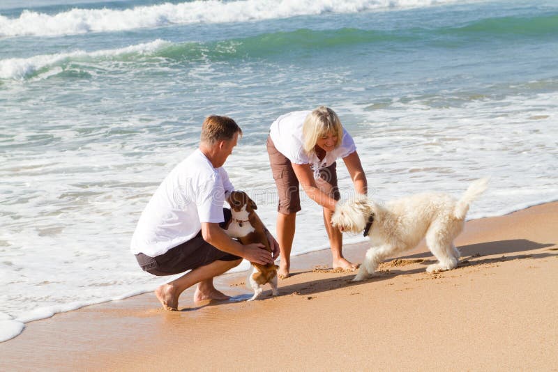 Couple and pet royalty free stock photo Couple and pet royalty free stock photo