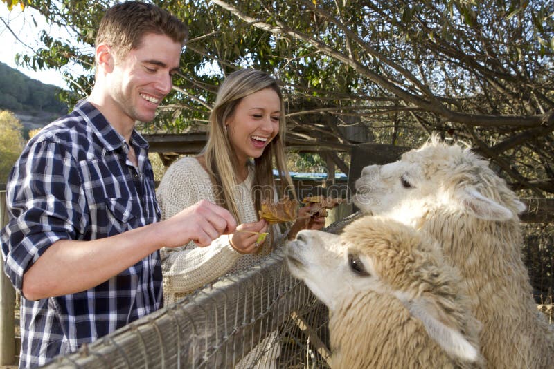 Couple at Petting Zoo stock image. Image of attractive - 31070303