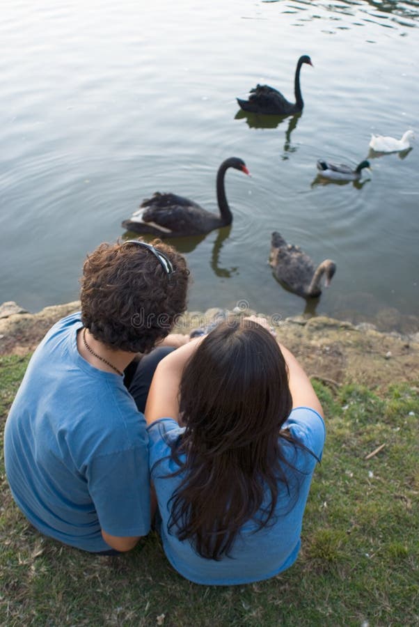 Couple By a Pond Watching Swans - Vertical