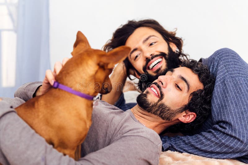 gay male couple smiling and relaxing happily lying in bed together with their little dog. gay male couple smiling and relaxing happily lying in bed together with their little dog