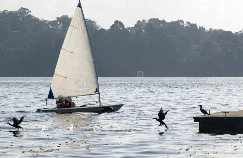 Couple on Sailboat Sailing on Lake - Horizontal