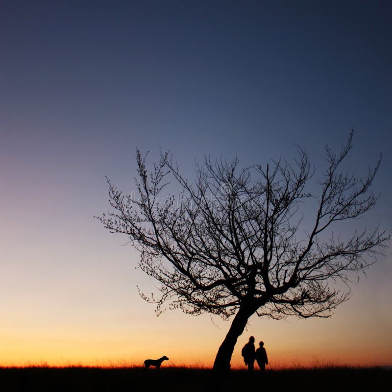 Couple silhouette in the sunset light