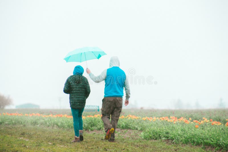 Couple standing near a tulip field with the male holding an umbrella over the female`s head