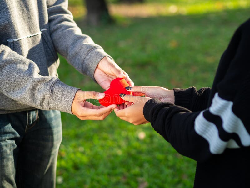 Couple on Valentines day. The man gives red heart to the woman in the park. Love, Valentines Day royalty free stock image Couple on Valentines day. The man gives red heart to the woman in the park. Love, Valentines Day royalty free stock image