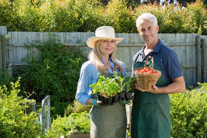 Couple in vegetable garden royalty free stock image Couple in vegetable garden royalty free stock image