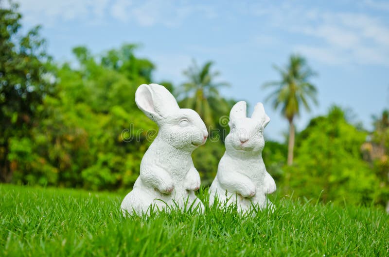 Couple of white rabbit stock photo. Image of grassland - 25151296 Couple of white rabbit stock photo. Image of grassland - 25151296