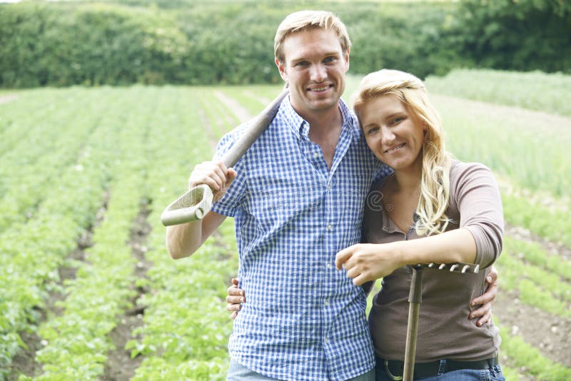 Couple Working In Field On Organic Farm royalty free stock image
