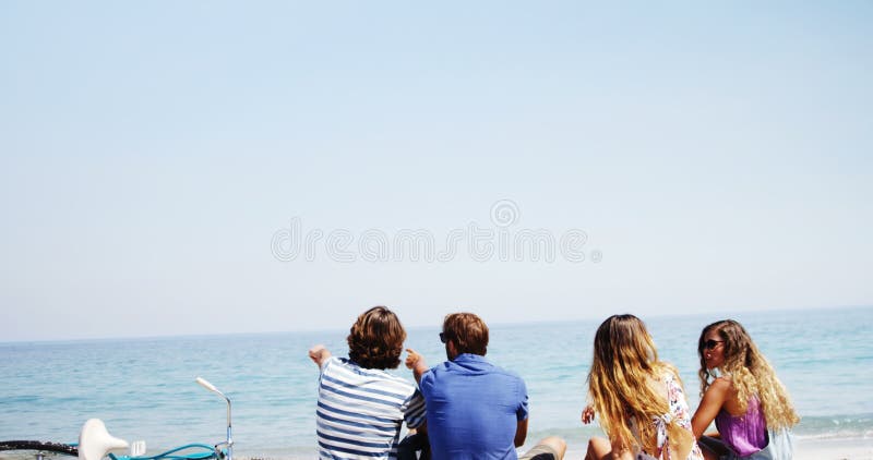 Couples appréciant ensemble à la plage banque de vidéos