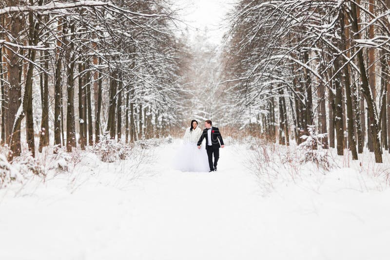 Download Couples De Mariage En Hiver Photo stock - Image du neige, mâle: 77156688