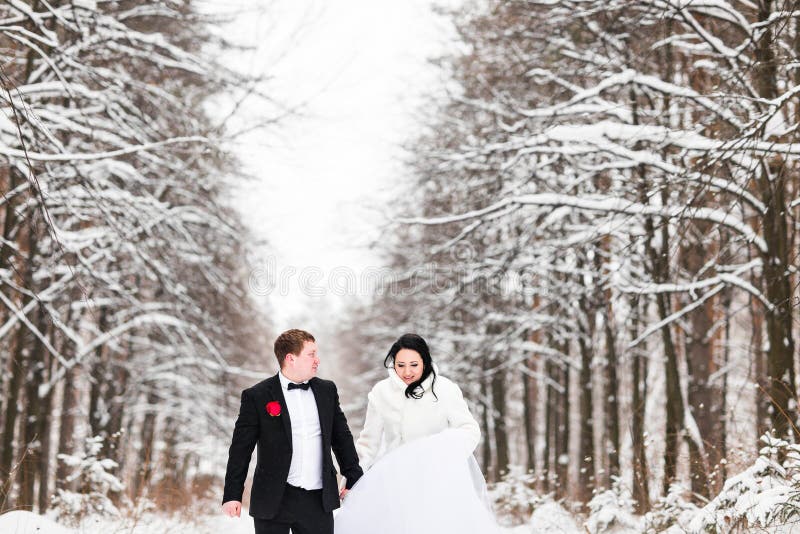 Download Couples De Mariage En Hiver Photo stock - Image du sensation, dame: 77156796