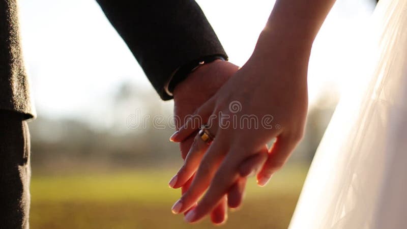 Couples de mariage tenant des mains sur le fond de coucher du soleil