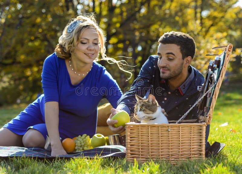 Couples heureux et souriants enceintes sur le pique-nique avec le chat image libre de droits Couples heureux et souriants enceintes sur le pique-nique avec le chat image libre de droits