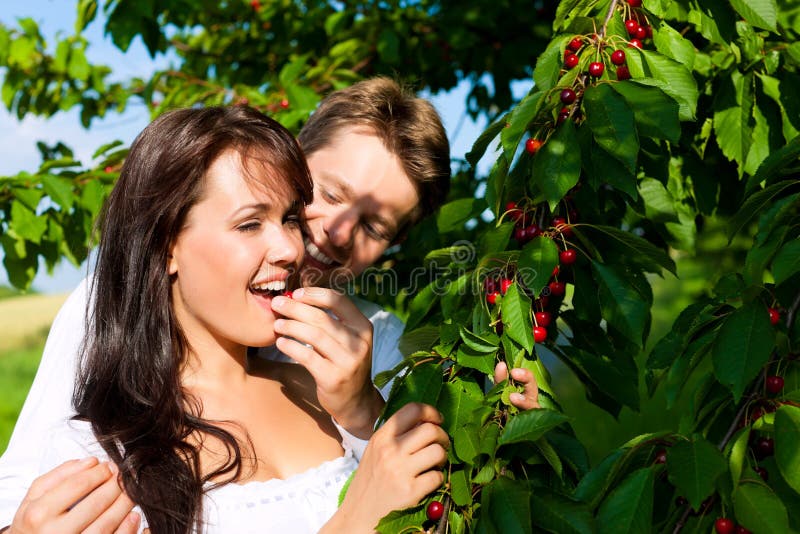 Couples heureux mangeant des cerises en été photo stock Couples heureux mangeant des cerises en été photo stock