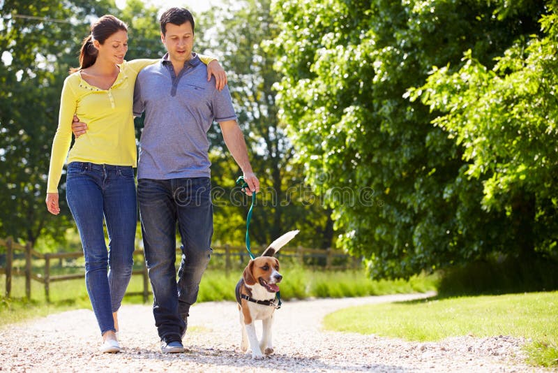 Couples hispaniques prenant le chien pour la promenade dans la campagne images stock Couples hispaniques prenant le chien pour la promenade dans la campagne images stock