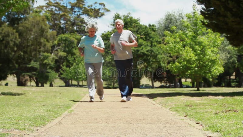 Couples mûrs de sourire pulsant ensemble banque de vidéos
