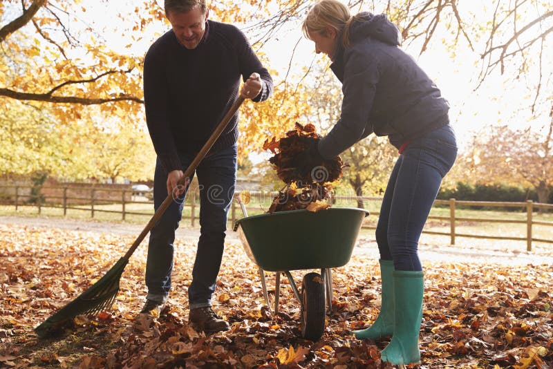 Couples mûrs ratissant Autumn Leaves dans le jardin photo stock Couples mûrs ratissant Autumn Leaves dans le jardin photo stock
