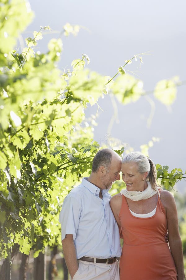 Couples romantiques dans le vignoble image libre de droits Couples romantiques dans le vignoble image libre de droits